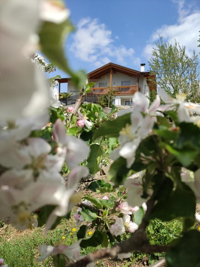 شقة Pruensterhof سكين المظهر الخارجي الصورة