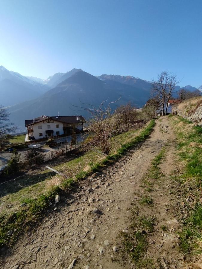 شقة Pruensterhof سكين المظهر الخارجي الصورة