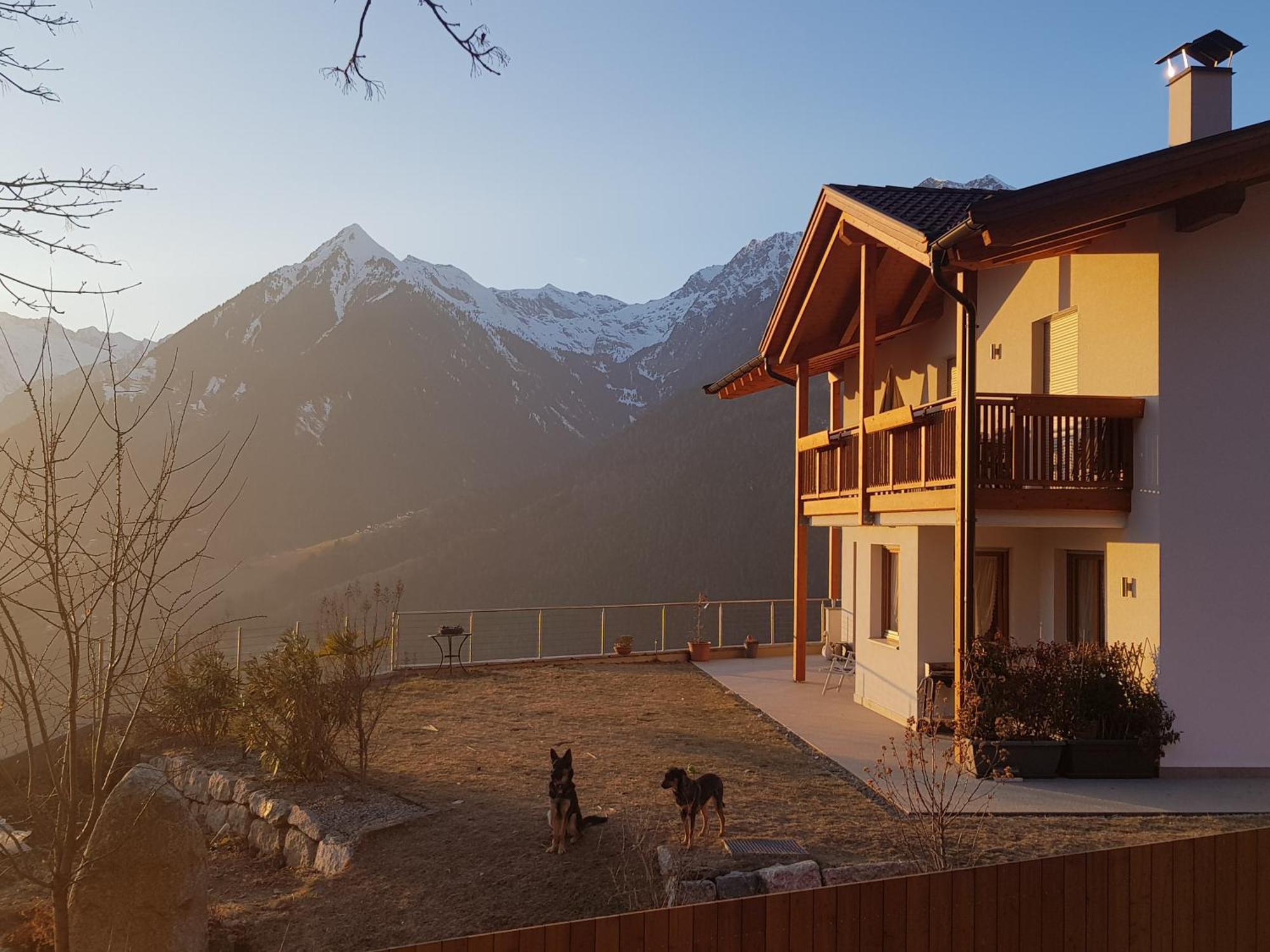 شقة Pruensterhof سكين المظهر الخارجي الصورة
