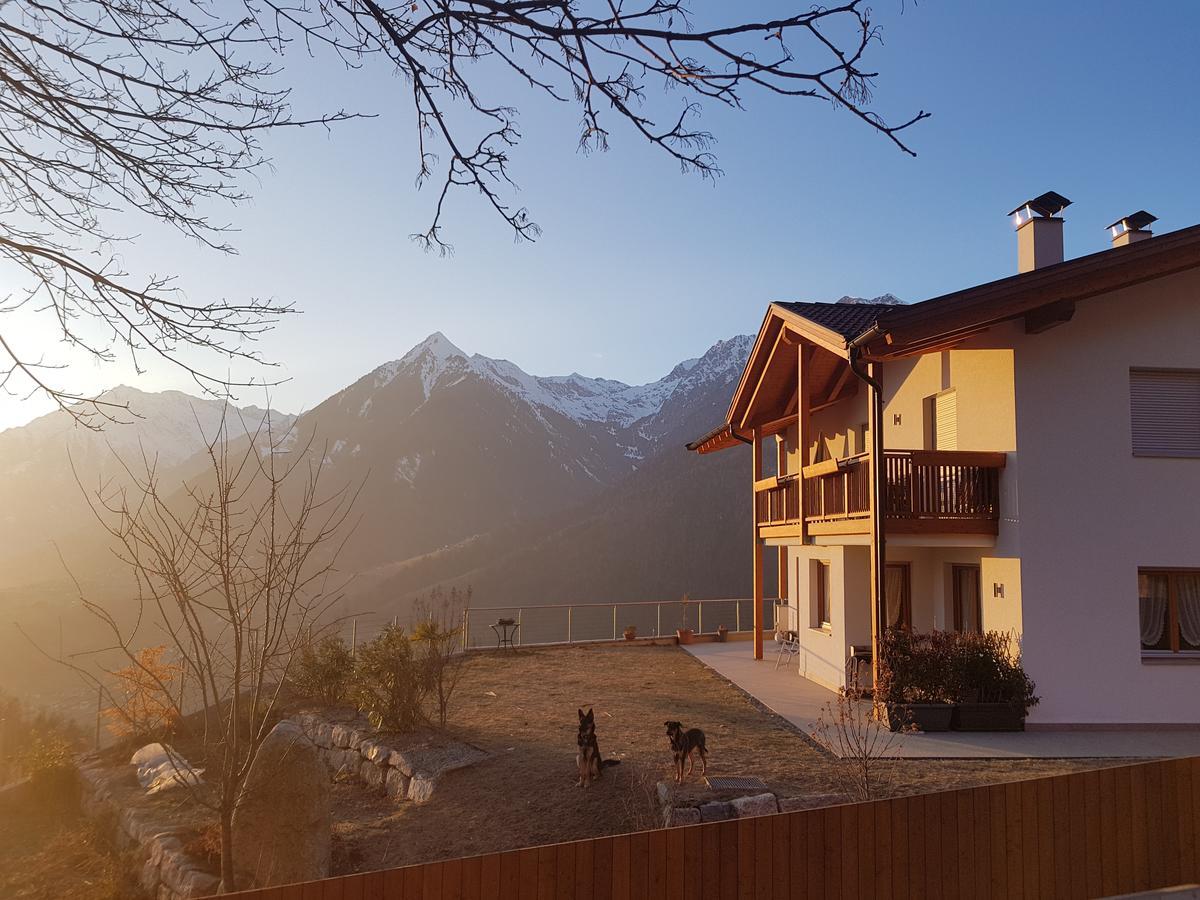 شقة Pruensterhof سكين المظهر الخارجي الصورة